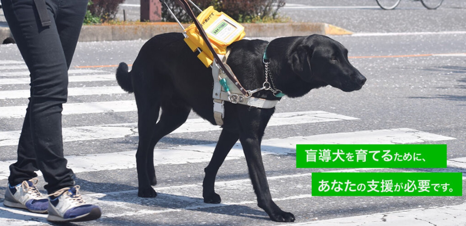 東日本盲導犬協会